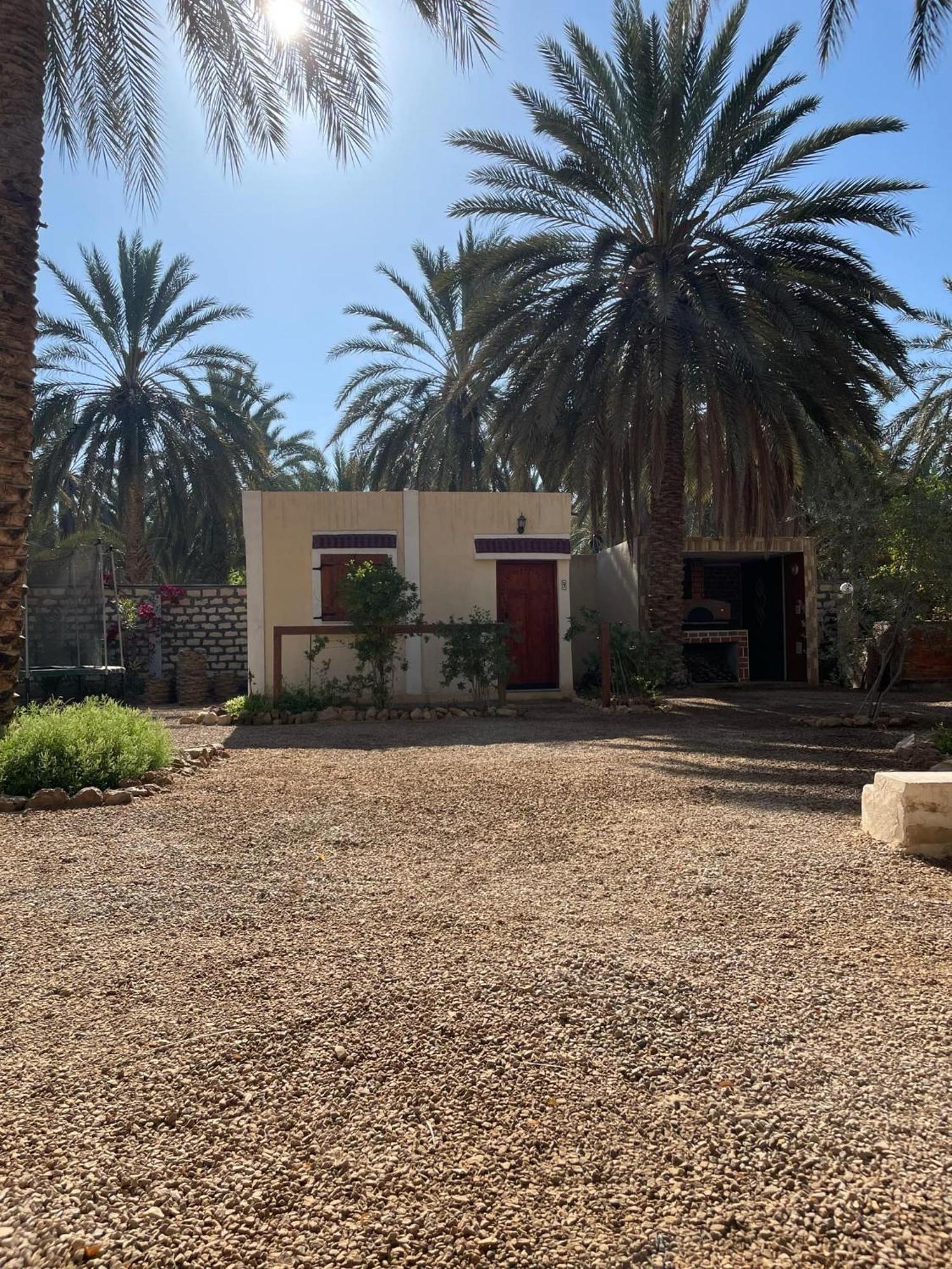 ホテル Dar Barka Kebili エクステリア 写真