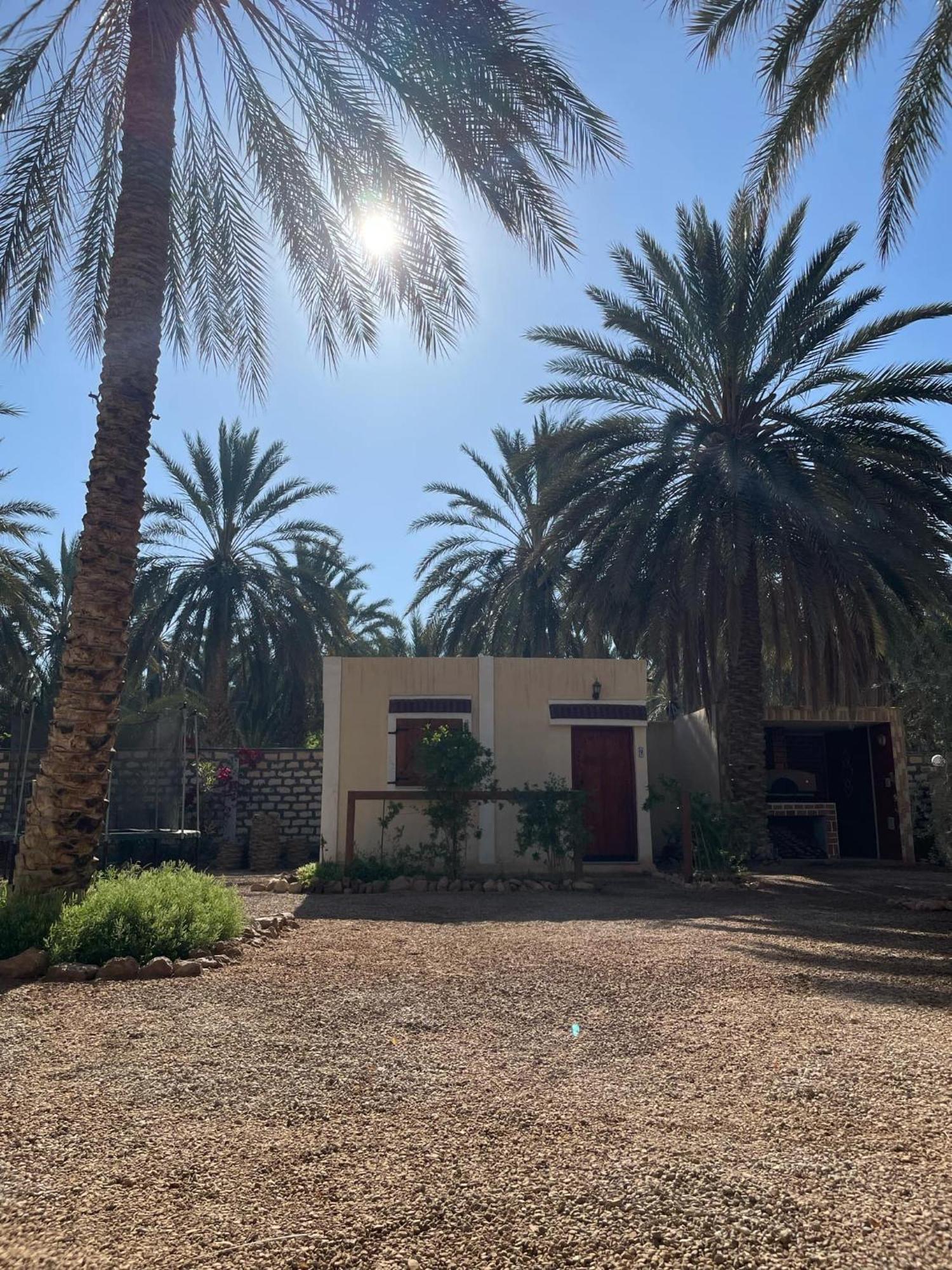 ホテル Dar Barka Kebili エクステリア 写真