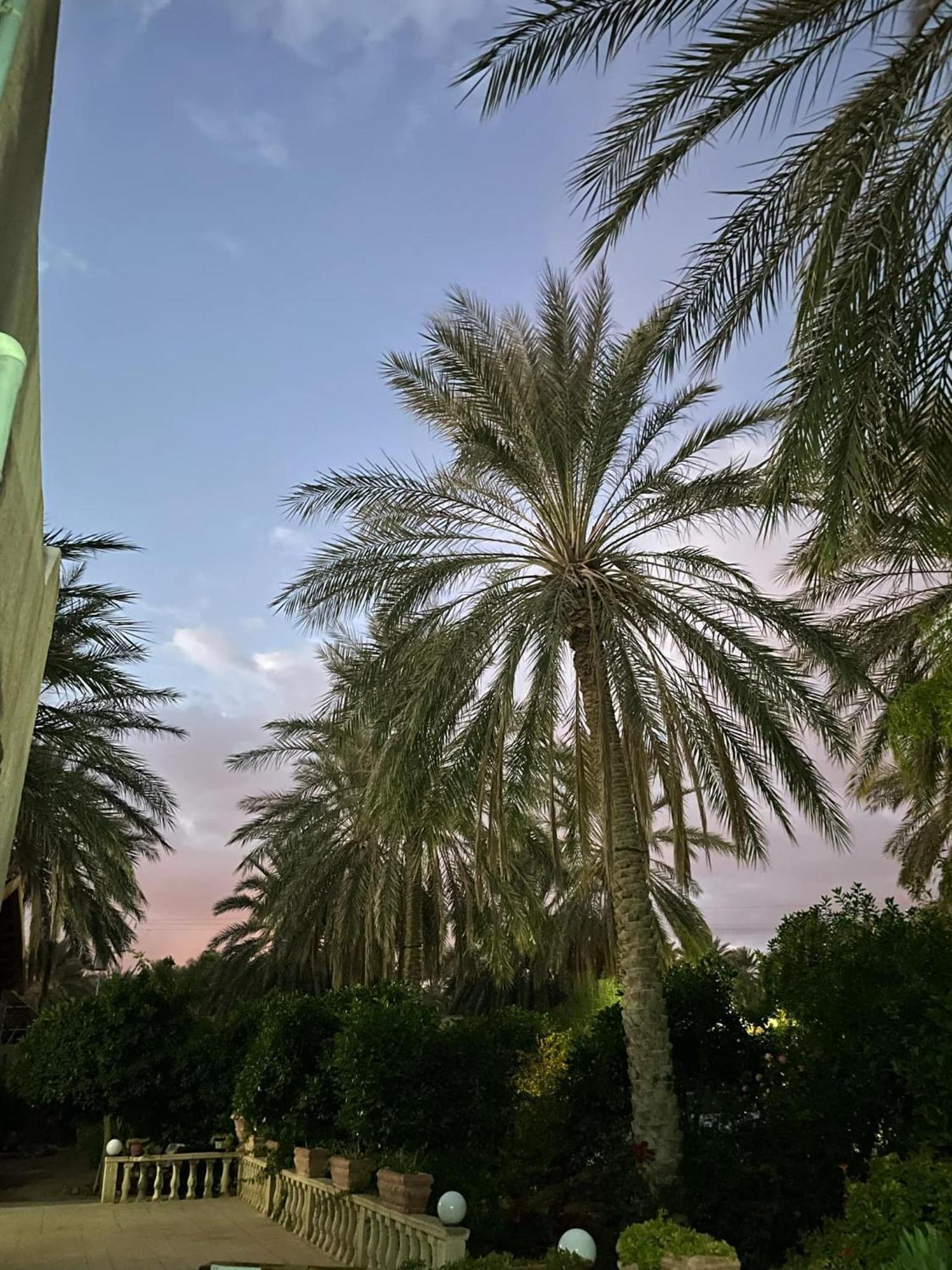 ホテル Dar Barka Kebili エクステリア 写真