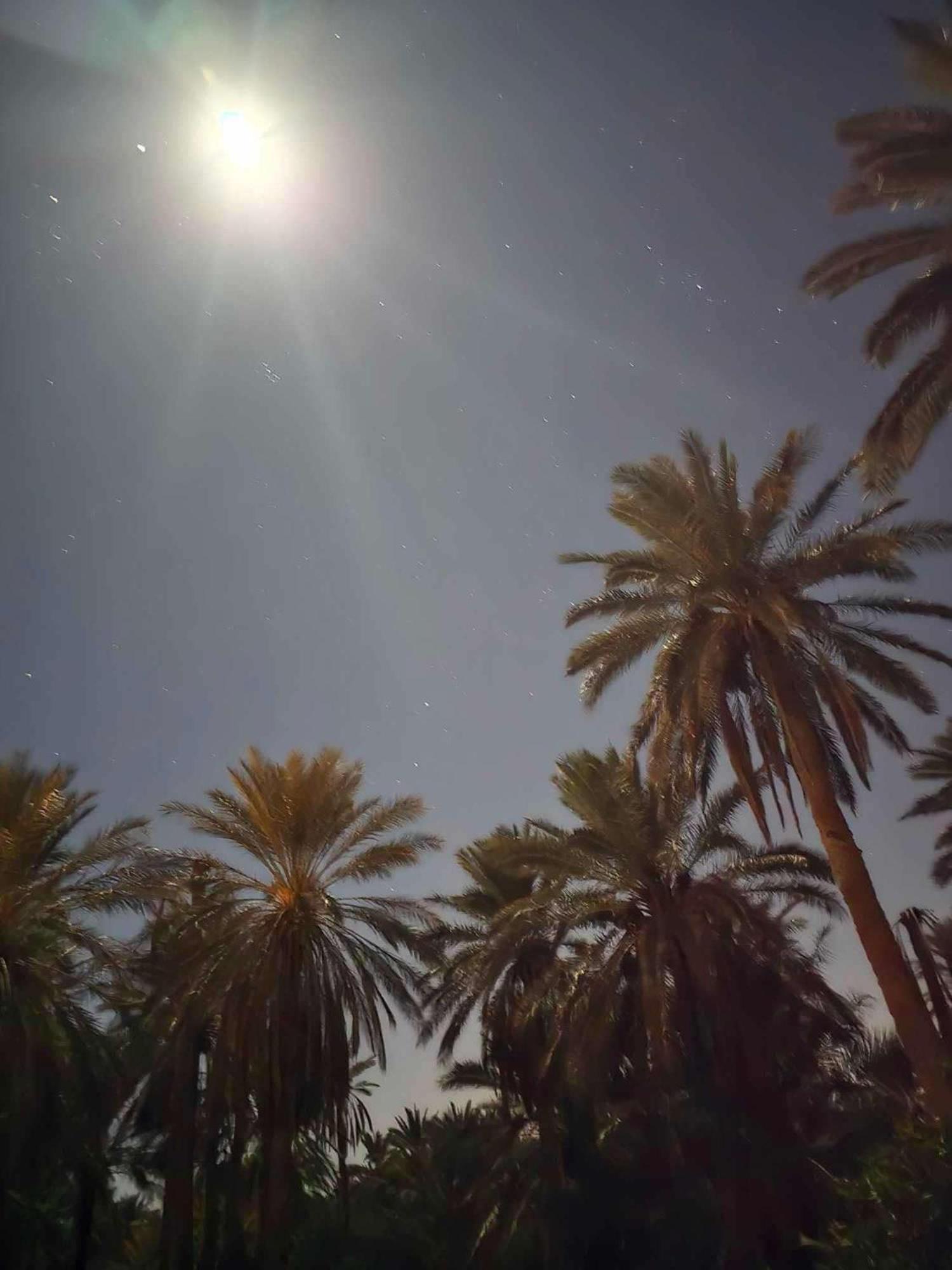 ホテル Dar Barka Kebili エクステリア 写真
